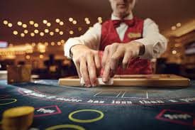 Live dealer blackjack table on ligagalaxy showing professional croupier, real cards, and multi-camera broadcast view